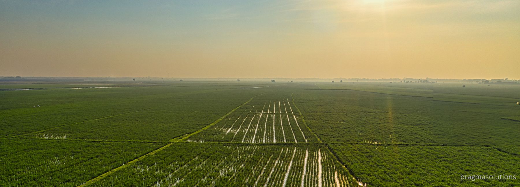 Agriculture